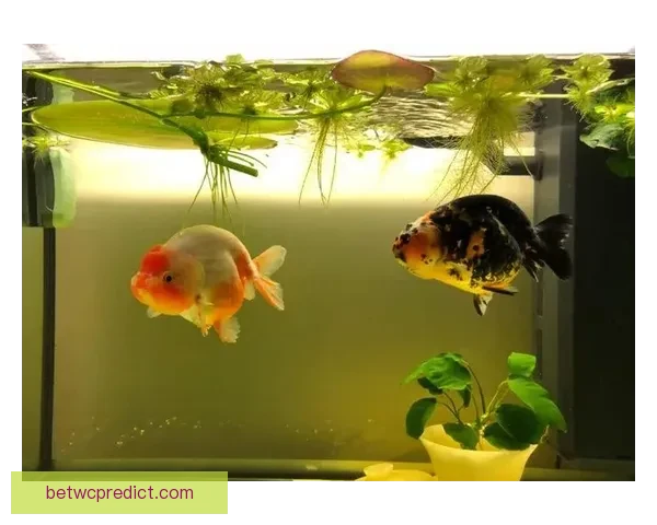 世界杯赛事深度解析与体育竞猜策略全方位指南